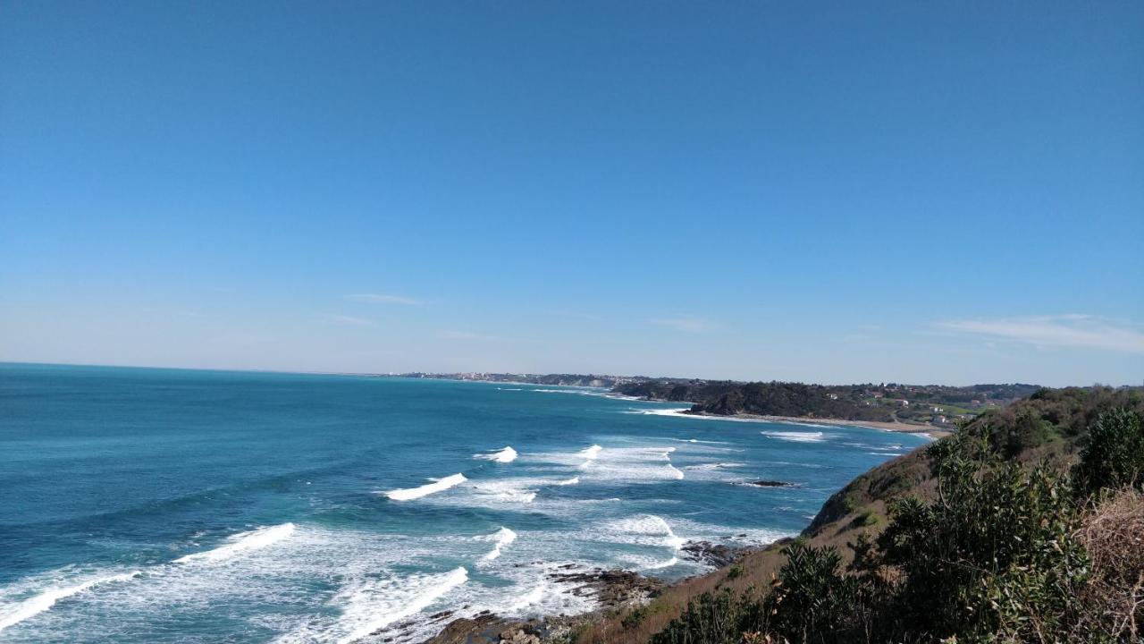 T1 Ou T2 Dans Villa Avec Jardin Proche Biarritz Anglet Zewnętrze zdjęcie