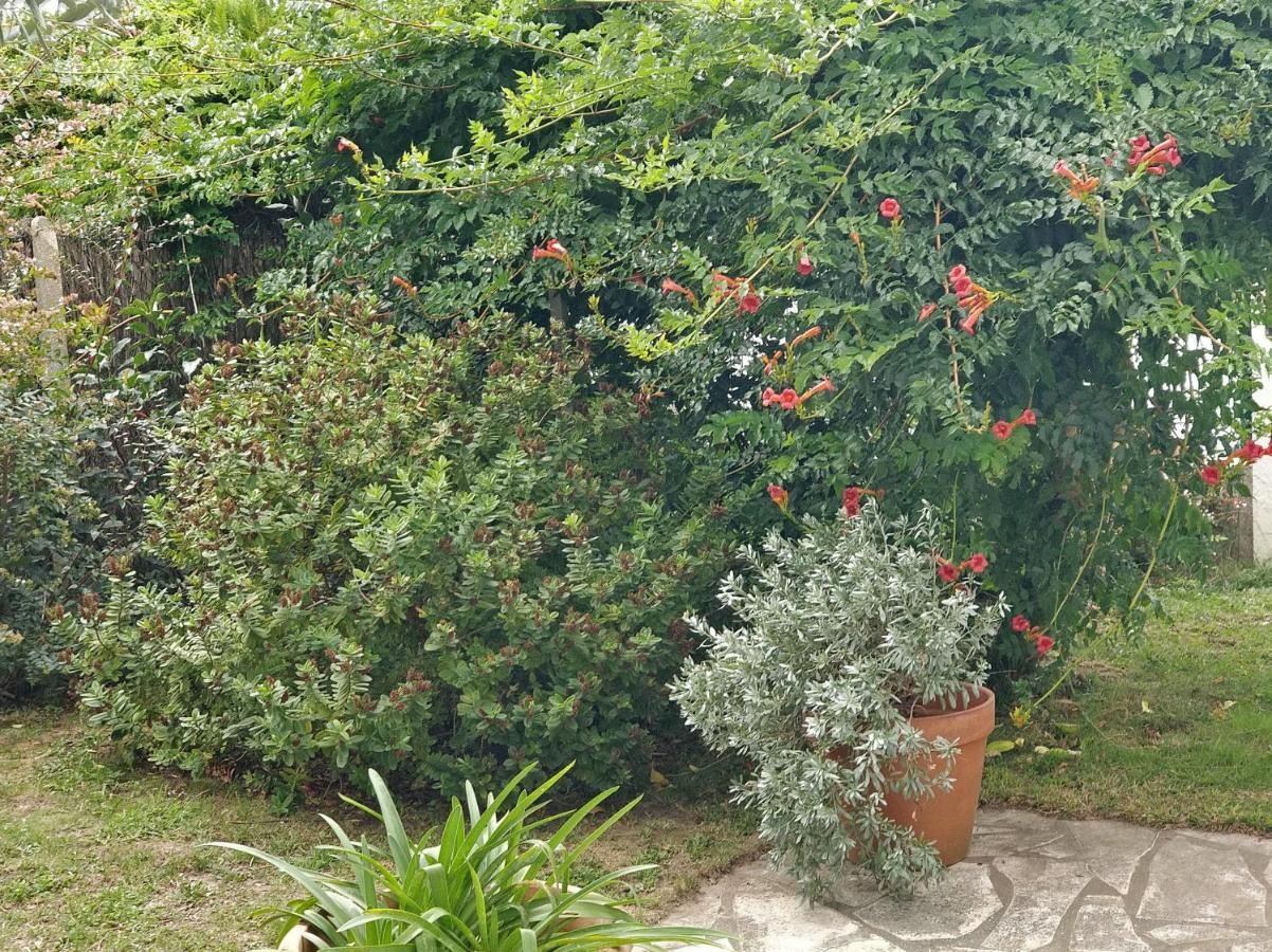 T1 Ou T2 Dans Villa Avec Jardin Proche Biarritz Anglet Zewnętrze zdjęcie