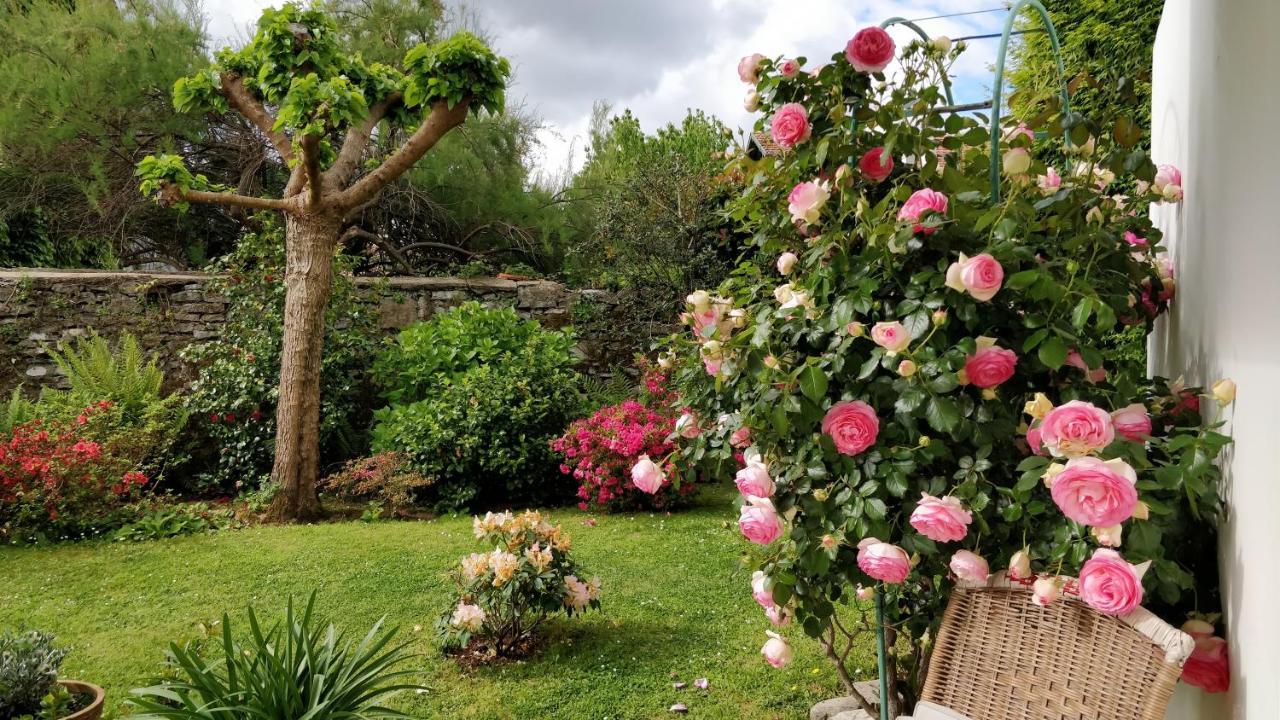 T1 Ou T2 Dans Villa Avec Jardin Proche Biarritz Anglet Zewnętrze zdjęcie