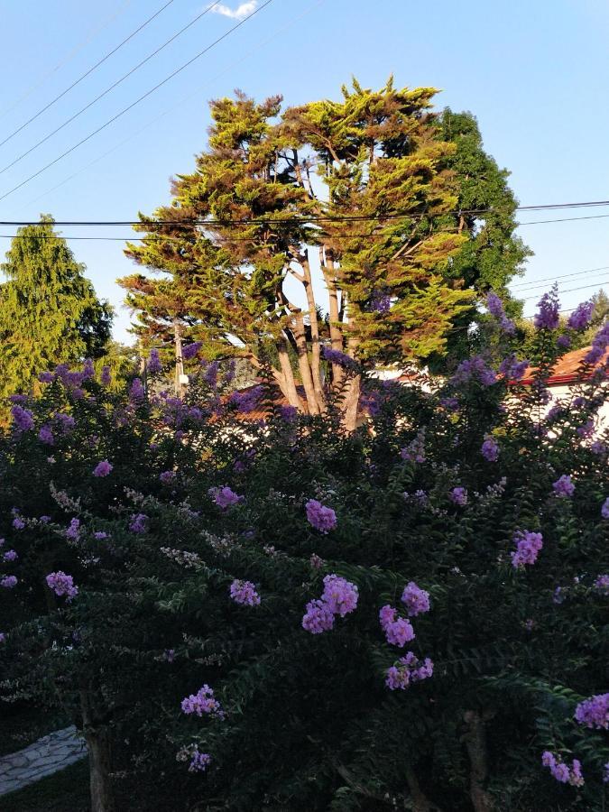 T1 Ou T2 Dans Villa Avec Jardin Proche Biarritz Anglet Zewnętrze zdjęcie