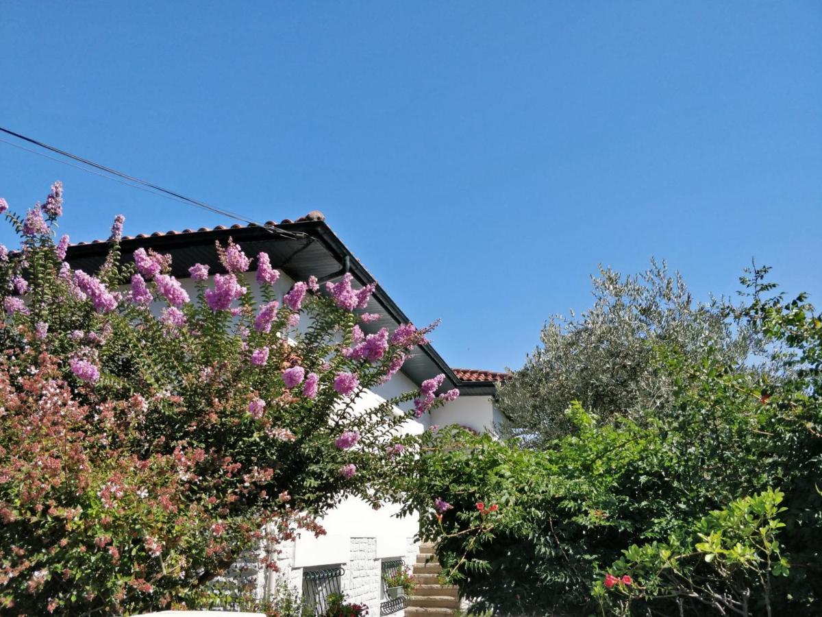 T1 Ou T2 Dans Villa Avec Jardin Proche Biarritz Anglet Zewnętrze zdjęcie